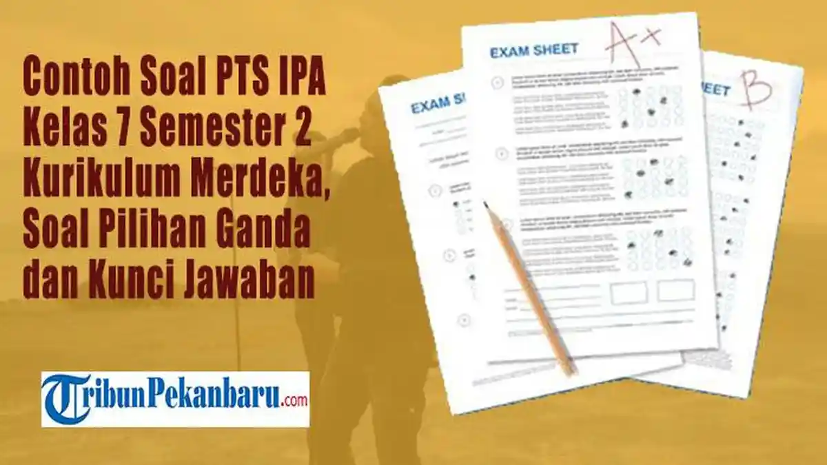 20 Latihan Soal IPA Kelas 7 SMP MTs Kurikulum Merdeka Semester 2 Bab 9