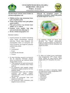 Soal Biologi Dalchaebi
