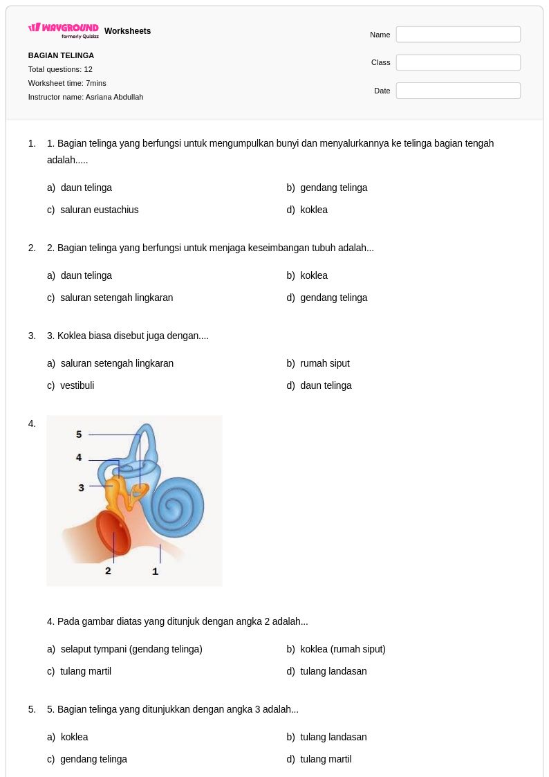 50 lembar kerja Telinga untuk Kelas 4 di Wayground Gratis Dapat