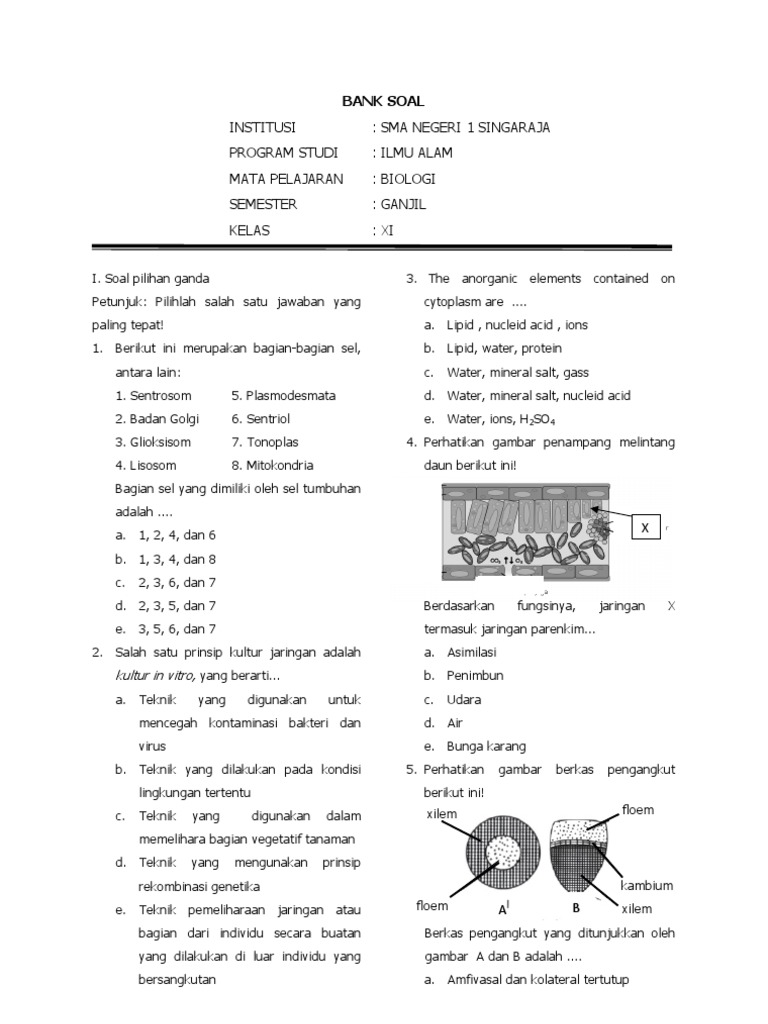 Ternyata Ini 7 Contoh Soal dan Jawaban PG Biologi Kelas 11 Semester 1 yang Sering Muncul di Ujian