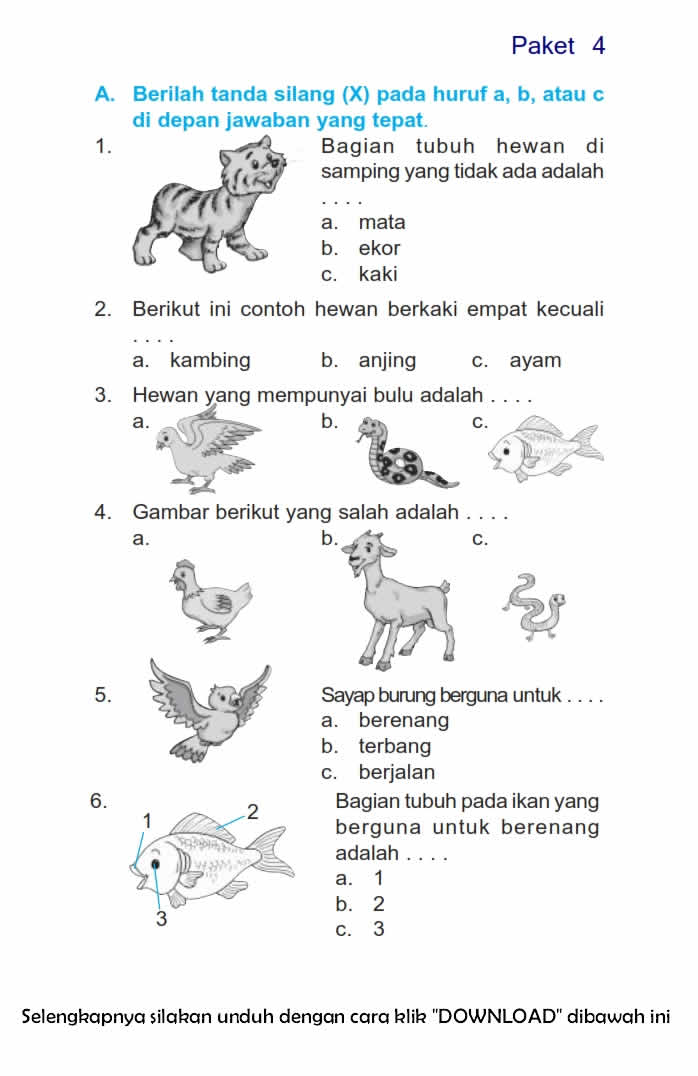 Rahasia Sukses Raih Nilai Sempurna Lewat Soal Bahasa Indonesia Kelas 3 Semester 2 UTS